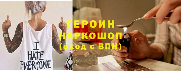 гашик Алексин