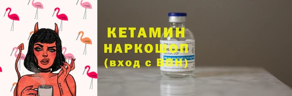 гашик Алексин