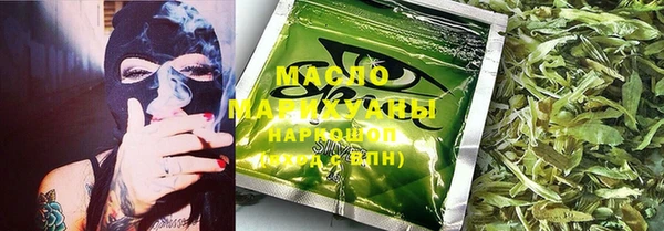 гашик Алексин