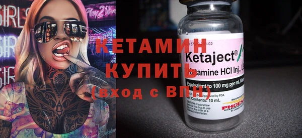 гашик Алексин