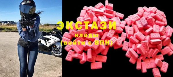 гашик Алексин