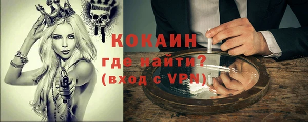 гашик Алексин