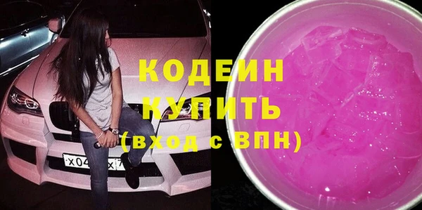 гашик Алексин