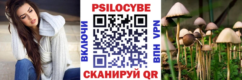 кракен зеркало  Суровикино  Галлюциногенные грибы MAGIC MUSHROOMS 